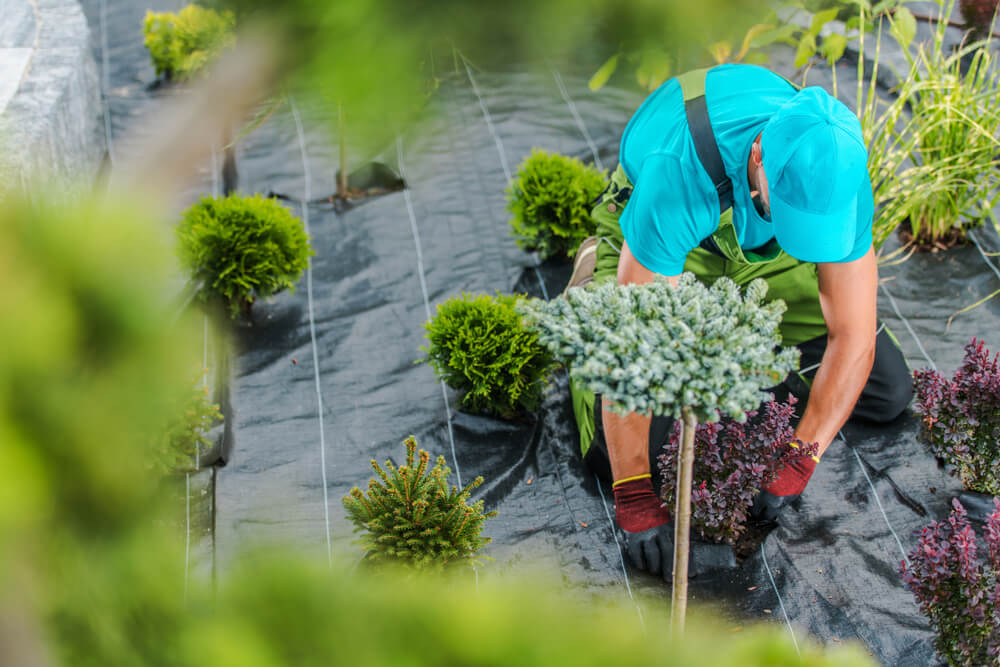 Grow Your Landscape Business with These 5 Marketing Strategies